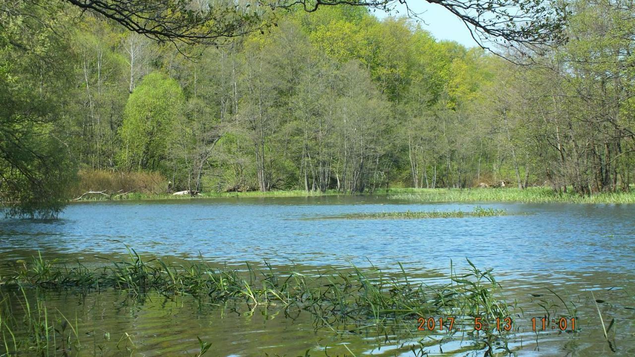 Kwatera Na Bagnach Osowiec  Экстерьер фото